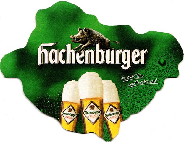 hachenburg ww-rp hachenburger sofo 7a (235-wildschwein)
